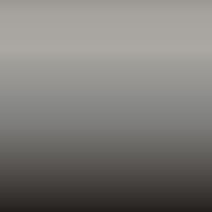Lakstift Land Rover - Borasco Grey (LIB)