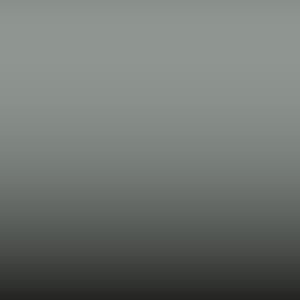 Lakstift Ford - Cactus Grey (M7457)
