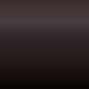 Lakstift Ford - Dark Matter Gray (7470)