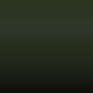 Lakstift Land Rover - Bronze Green (619)