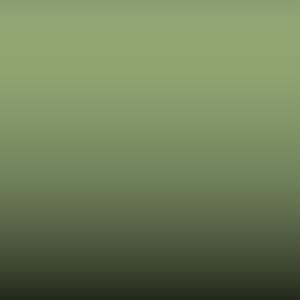 Lakstift Alfa Romeo - Verde Chiaro (201-1287)