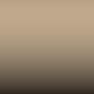 Lakstift Ford - Light Camel -Interior- (4T0)