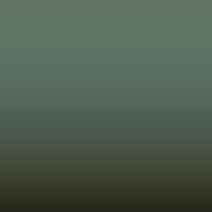 Lakstift Land Rover - Light Green (HCD)