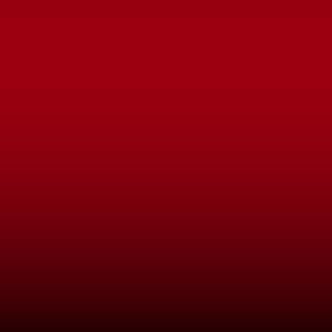 Lakstift Ford - Race Red (BRQA)