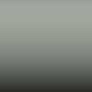 Lakstift Ford - Ascot Grey Xsc 217 (BL)
