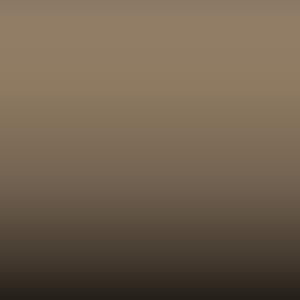 Lakstift Skoda - Taubenbeige-Pebblestone (2040)