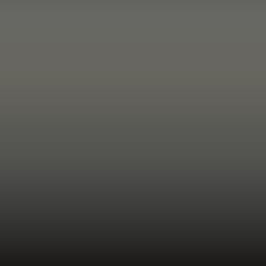 Lakstift Ford - Medium Grey (COY)
