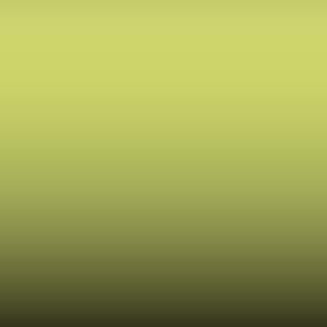 Lakstift Skoda - Lindgruen-Leaf Green (5016)