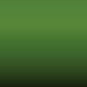 Lakstift Skoda - Palmengruen-Palm Green (5123)