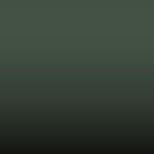 Lakstift Skoda - Olivengruen-Willow Green (5178)