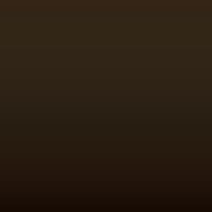 Lakstift Ford - Rio-Montana Brown Xsc1676 (J31V)