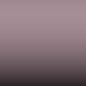 Lakstift BMW - Violett Matt -Int.374 Nepalsilber- (INTERIOR42)