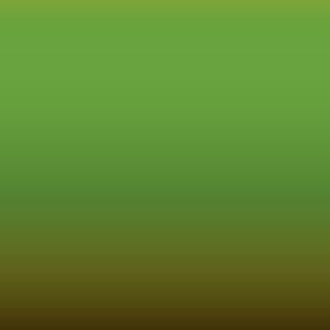 Lakstift Ford - Grabber Lime (F9)