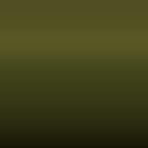 Lakstift Mitsubishi - Jackson Olive (C65/10565)