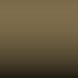 Lakstift Alfa Romeo - Bronze (320)