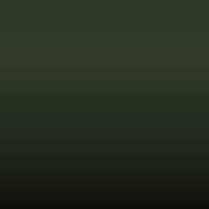 Lakstift Seat - Verde Aleto (2423)