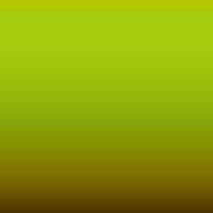 Lakstift Porsche - Acidgreen (2M8)