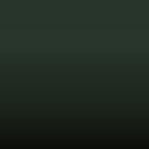 Lakstift Seat - Verde Oliva (323/69)