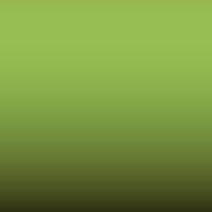 Lakstift Seat - Verde Claro (358)