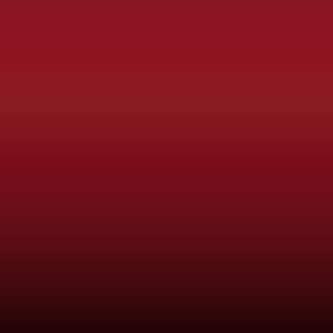 Lakstift Ford - Post Office Red (Y5)