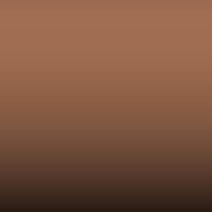 Lakstift Porsche - Keramikbeige (499)