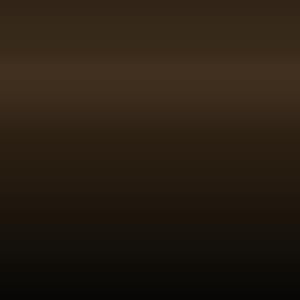 Lakstift Ford - Bronze Black (Yf - 6ase) (1S)