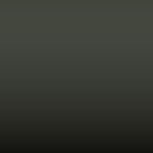Lakstift Ford - Wild Green (FC)