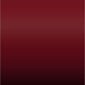 Lakstift Ford - Vermelho Bari (501)