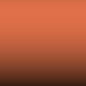 Lakstift Volkswagen - Rojo Flamingo (L35/G)