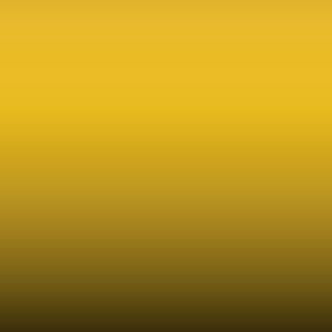 Lakstift Ford - Race Yellow (AG6434)