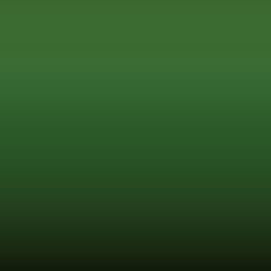 Lakstift Volkswagen - Grasgruen = Ral 6010 (L46/M)