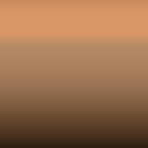 Lakstift Porsche - Apricotmetallic (L M2X)
