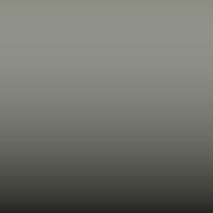 Lakstift Alfa Romeo - Gris - Interieur 407 (INT 06)