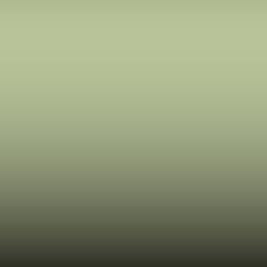 Lakstift Ford - Willow Green (J-42025)