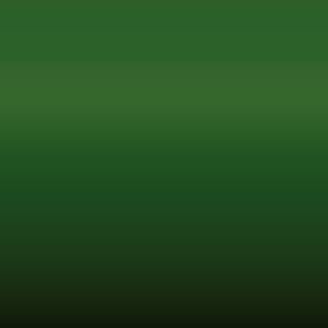 Lakstift Renault - Vert Forester (095)