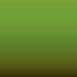 Lakstift Opel - Bamboo Green (10G)