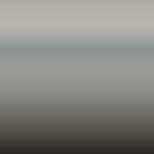 Lakstift Toyota - Ash Grey -Dynamic Grey (1K6)