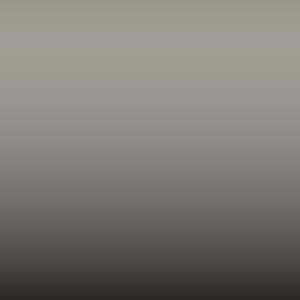 Lakstift Opel - Steingrau-Stone Grey (145 85L)
