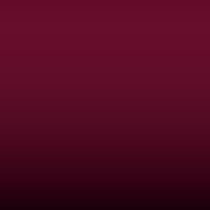 Lakstift Toyota - Dark Red (398)
