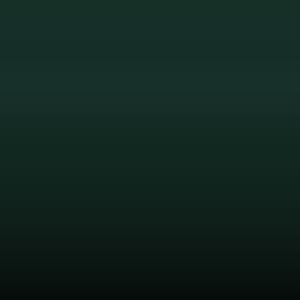 Lakstift Renault - Vert Cottage Mat (22569)