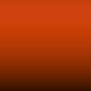 Lakstift Renault - Orange (241)