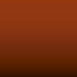 Lakstift Renault - Orange Opaque (325)