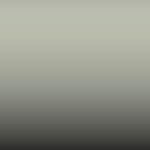 Lakstift Dacia - Bianco-Alb Gri (13)