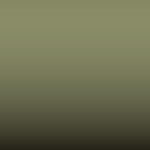 Lakstift Opel - Schilfgruen-Reed Green (340 40L)