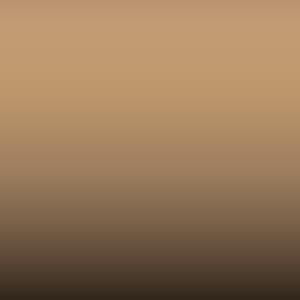 Lakstift Volkswagen - Mojave Beige (LE1N)