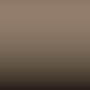 Lakstift Opel - Praeriebeige (378/56)