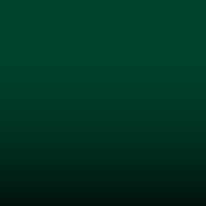 Lakstift Dacia - Green (A94)