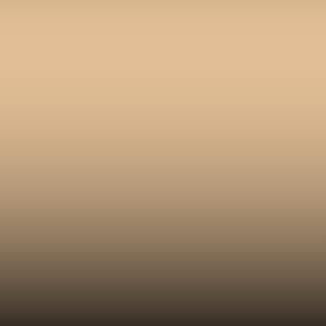 Lakstift Toyota - Light Tan (4J9)