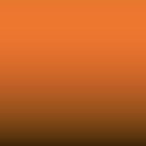 Lakstift Fiat - Arancio Ral 2003 (021)