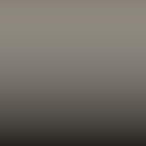 Lakstift Renault - Gris-Opaco-Pare Chocs (R 4) (677)